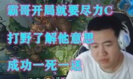 石头哥前妻爆料视频在线观看,揭秘婚姻内幕，情感纠葛引热议