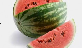 吃网红瓜的网站朝阳,朝阳网站带你领略网络八卦风云